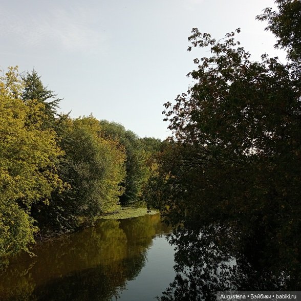 Измайловский остров 30.08.2025 | Бэйбики Измайловский остров 30.08.2025 (фото 6)