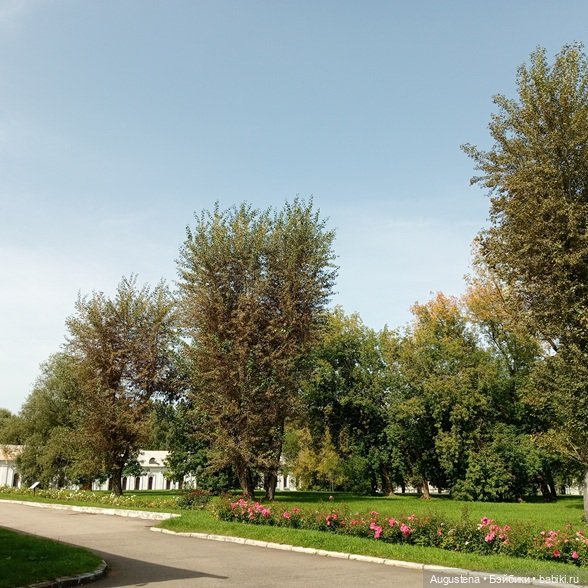 Измайловский остров 30.08.2025 | Бэйбики Измайловский остров 30.08.2025 (фото 8)