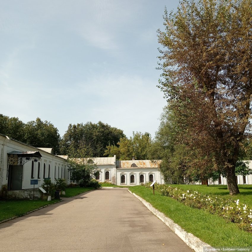 Измайловский остров 30.08.2025 | Бэйбики Измайловский остров 30.08.2025