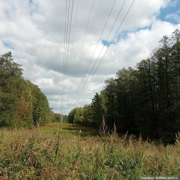 Мемножко Гретхен — Гибриды шарнирных кукол (не БЖД): подбор тела