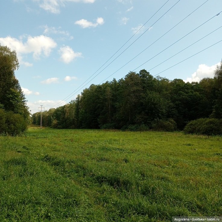 Мемножко Гретхен — Гибриды шарнирных кукол (не БЖД): подбор тела (фото 5)