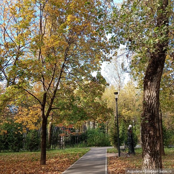 Ruruko солнечным октябрём (фото 6)