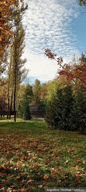 Ruruko солнечным октябрём (фото 10)