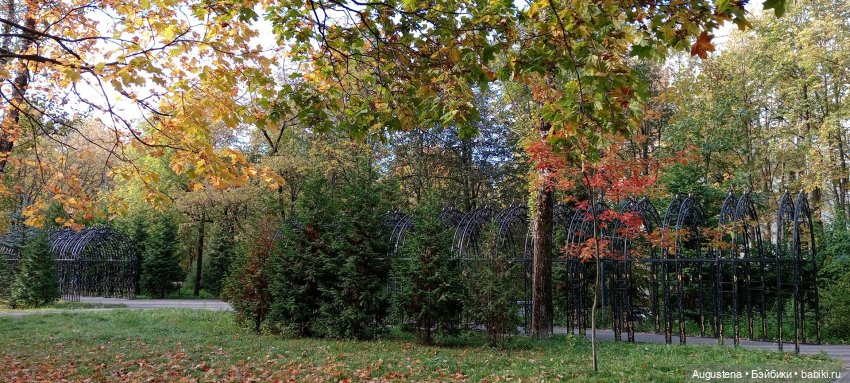 Ruruko солнечным октябрём (фото 8)