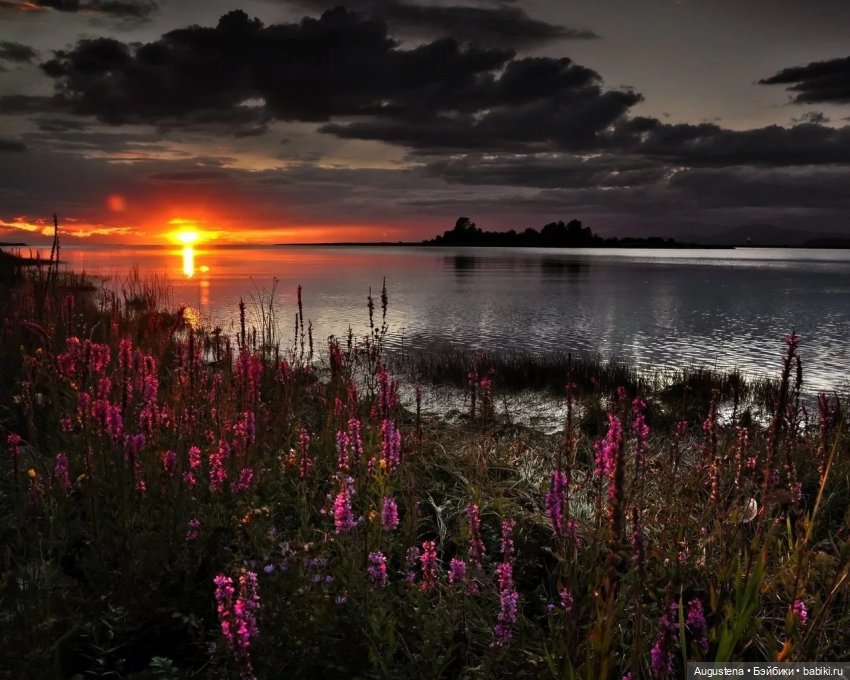 Поворот на лето 2025 — Болталка и разговоры обо всем: жизнь (фото 6)