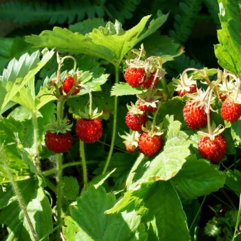 Поворот на лето 2025