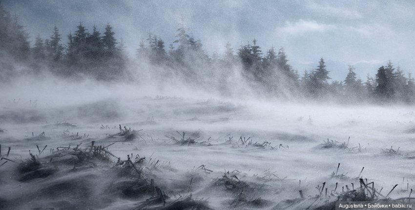 Из цикла Сумеречные истории. Письма с чердака. Глава 8-я