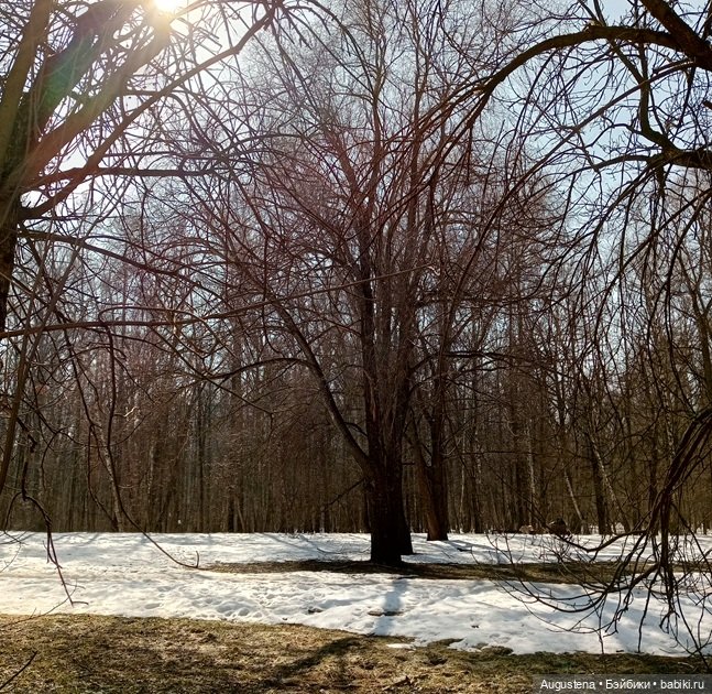 Короткая мартовская зарисовка с Momoko (фото 2)