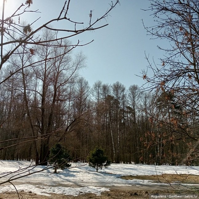 Короткая мартовская зарисовка с Momoko