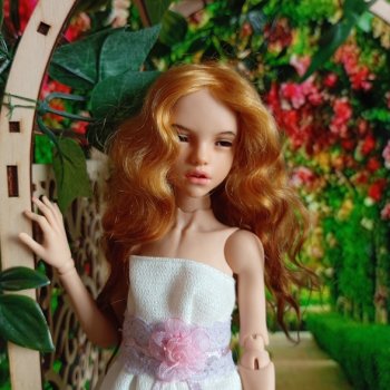 Проект Три Грации. Войд