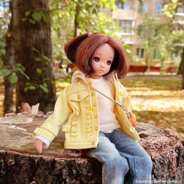 Руруко в сентябре — Куклы Momoko и Ruruko (Petworks (фото 7)