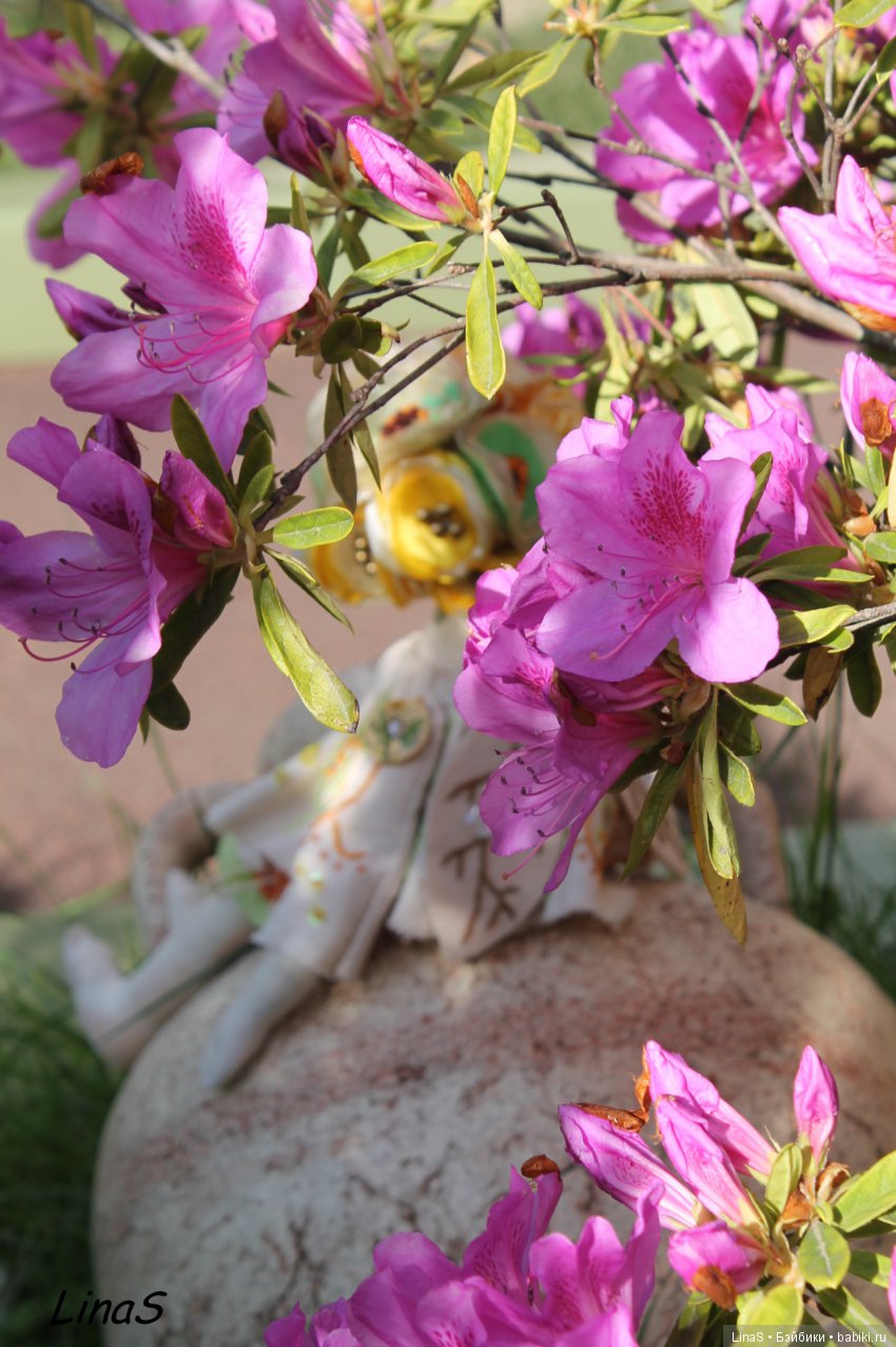 Нилилим или как я за феечкой подглядывала | Бэйбики Нилилим или как я за феечкой подглядывала