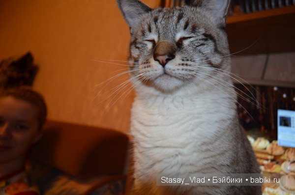 Давайте познакомимся) — Другие хобби и увлечения: сад (фото 2)