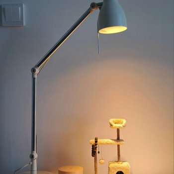 Игровой комплекс для котиков