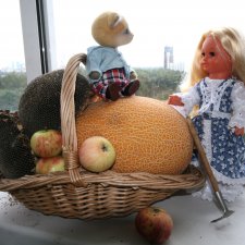 Осенние хлопоты