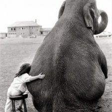 Большие проблемы маленького семейства