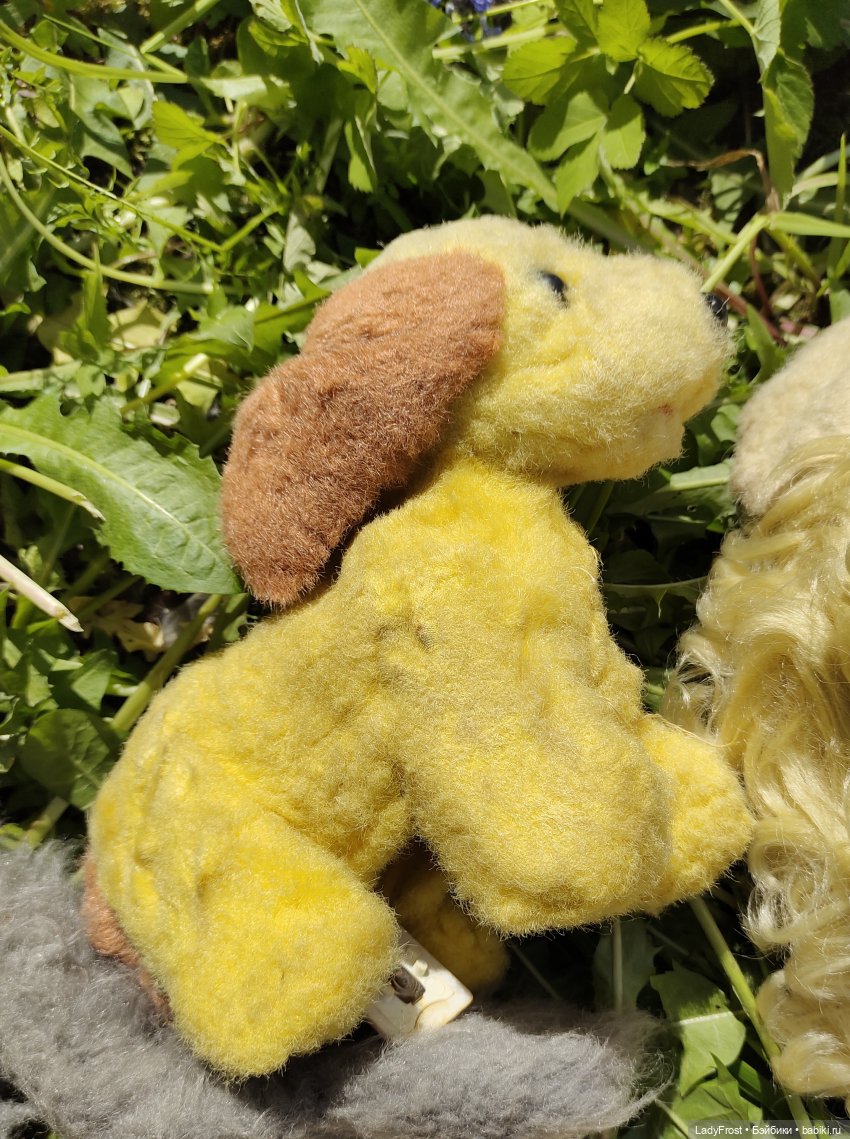 "Как у нас в садочке, как у нас в садочке" (фото 9)