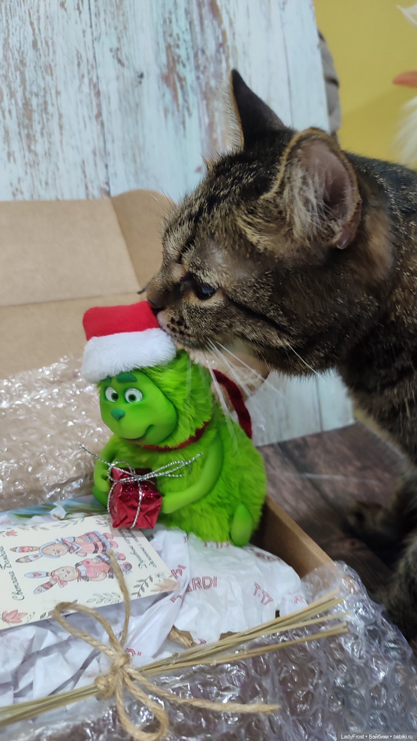 Гринч встречает новеньких (фото 3)