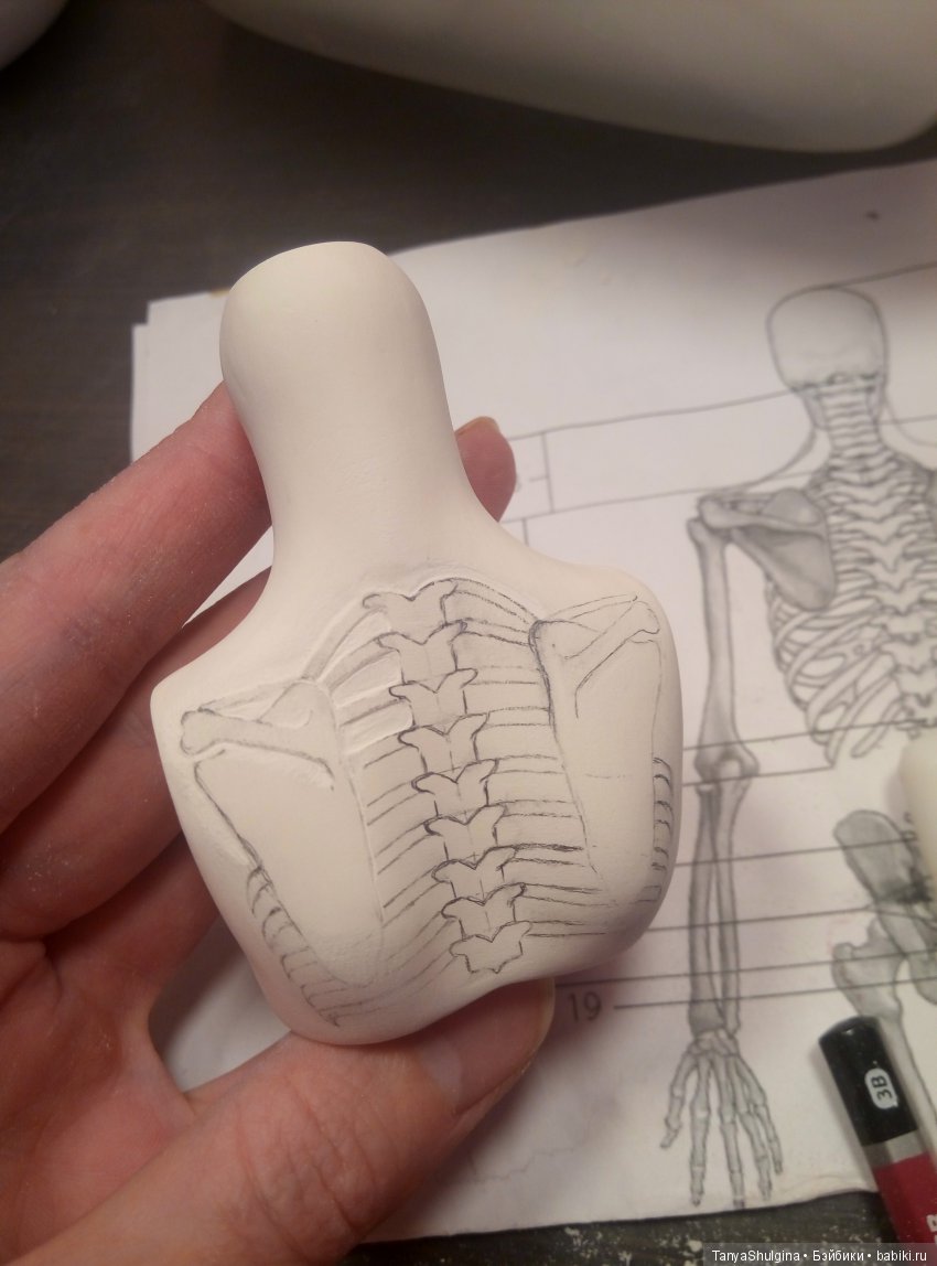 История создания моих первых шарнирных фарфоровых кукол: Любава (фото 3)