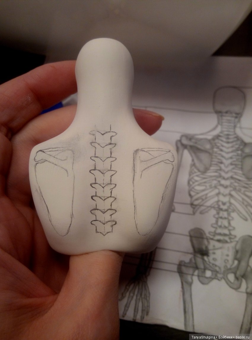 История создания моих первых шарнирных фарфоровых кукол: Любава (фото 2)