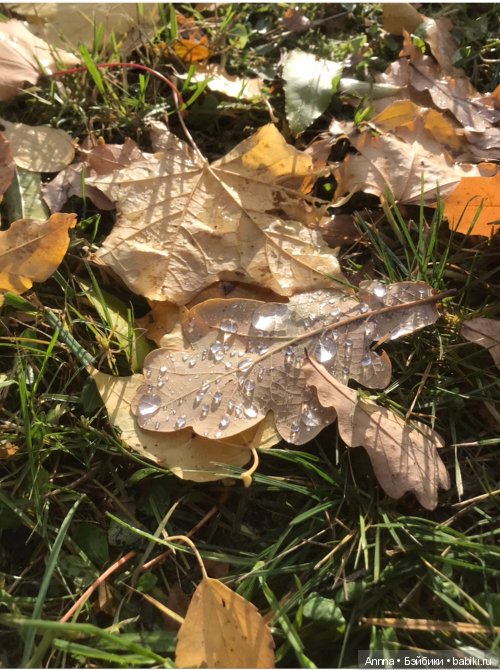 Мю отправляется на Юг — Фэшн (фото 3)