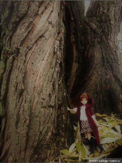 Мю отправляется на Юг — Фэшн (фото 6)