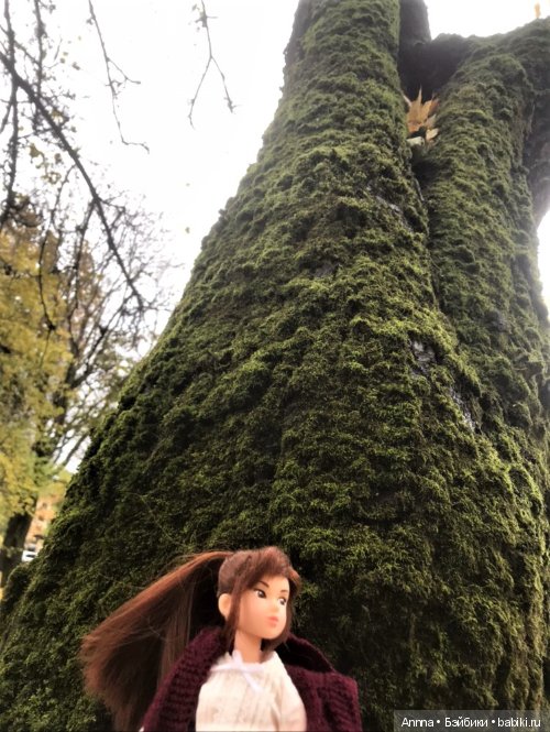 Мю отправляется на Юг — Фэшн (фото 7)