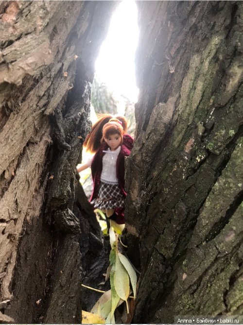 Мю отправляется на Юг — Фэшн (фото 5)