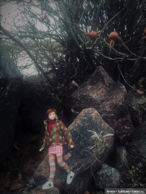 Мю отправляется на Юг — Фэшн