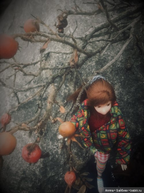 Мю отправляется на Юг — Фэшн