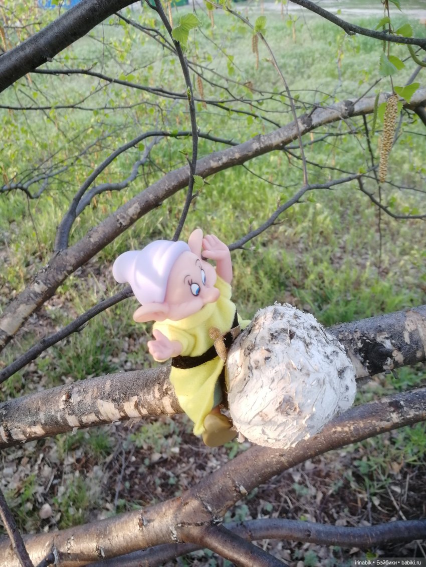эльфы эльфы