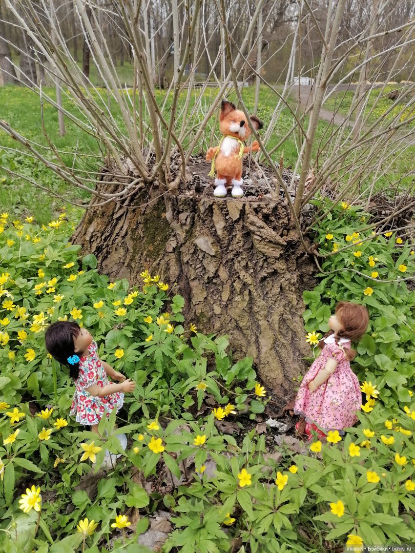 Весна)) все в парк — Куклы Heidi Plusczok (Хайди/Хейди Плюсчок) — фото (фото 4)
