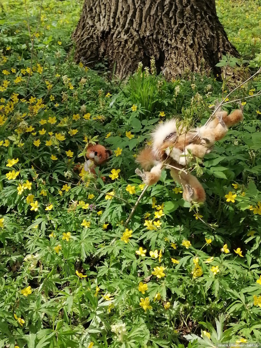 Весна)) все в парк — Куклы Heidi Plusczok (Хайди/Хейди Плюсчок) — фото