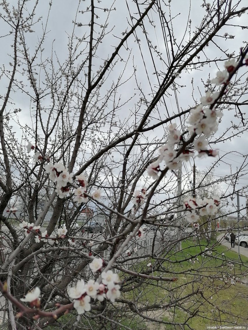 Весна)) все в парк — Куклы Heidi Plusczok (Хайди/Хейди Плюсчок) — фото