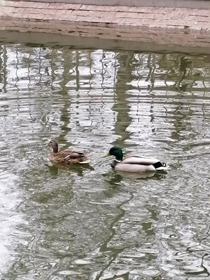 Весна)) все в парк — Куклы Heidi Plusczok (Хайди/Хейди Плюсчок) — фото