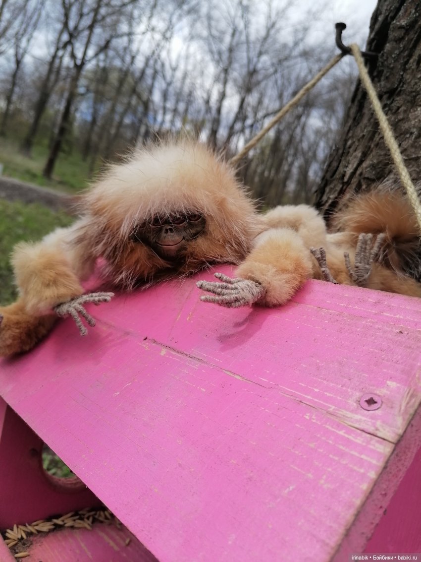 Весна)) все в парк — Куклы Heidi Plusczok (Хайди/Хейди Плюсчок) — фото (фото 2)