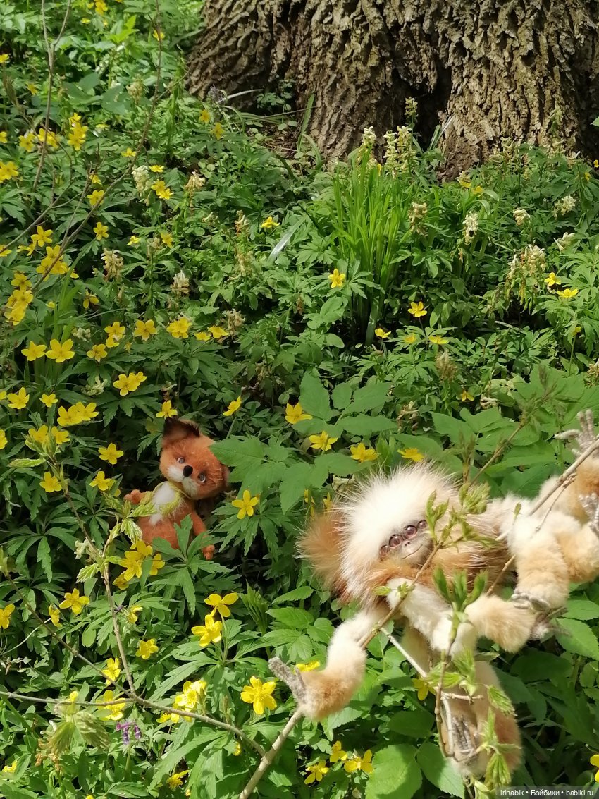 Весна)) все в парк — Куклы Heidi Plusczok (Хайди/Хейди Плюсчок) — фото