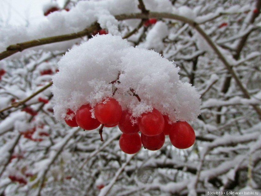 Неприглашённой и непрошенной негаданно пришла зима