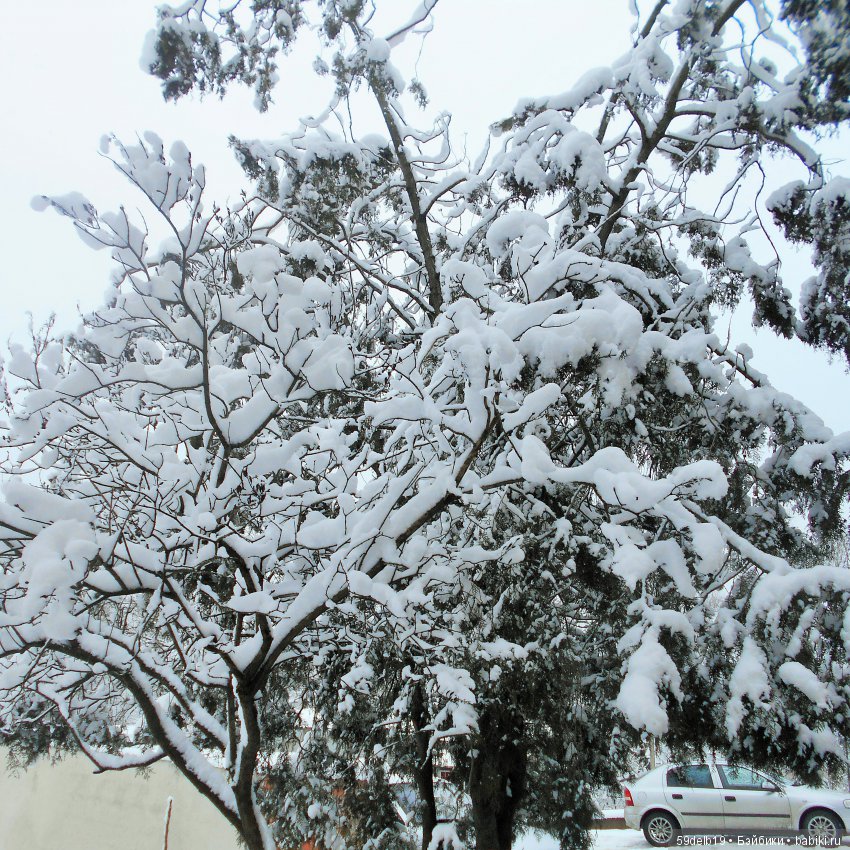 Неприглашённой и непрошенной негаданно пришла зима (фото 5)