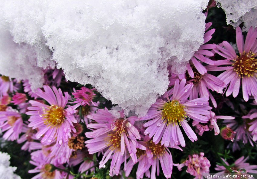 Неприглашённой и непрошенной негаданно пришла зима