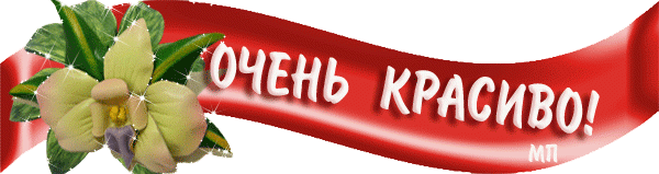 Просто нет слов картинки