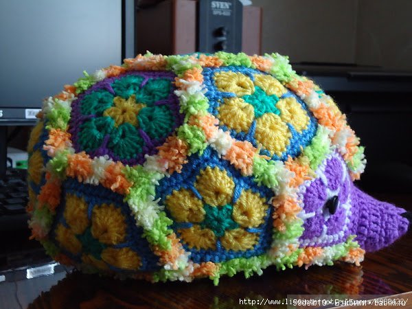 африканский цветок