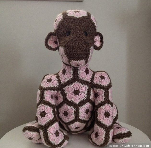 африканский цветок