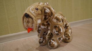 африканский цветок