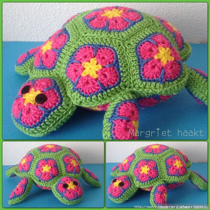 африканский цветок