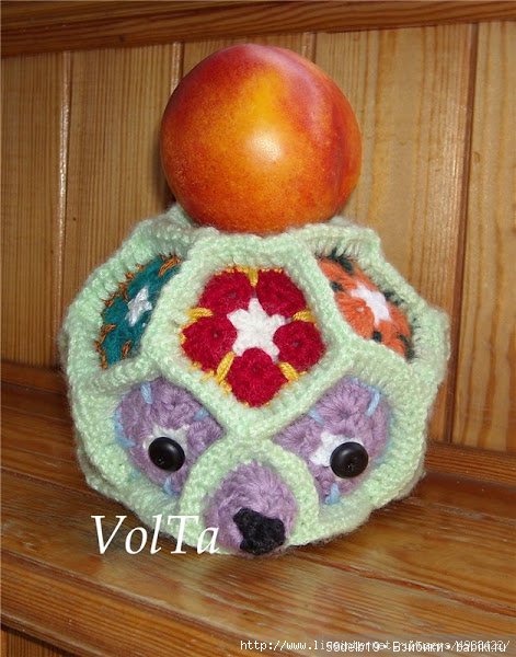 африканский цветок