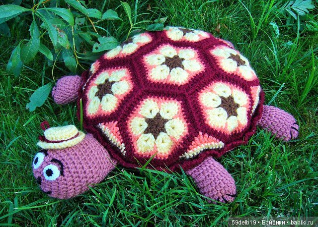 африканский цветок