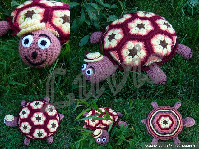 африканский цветок