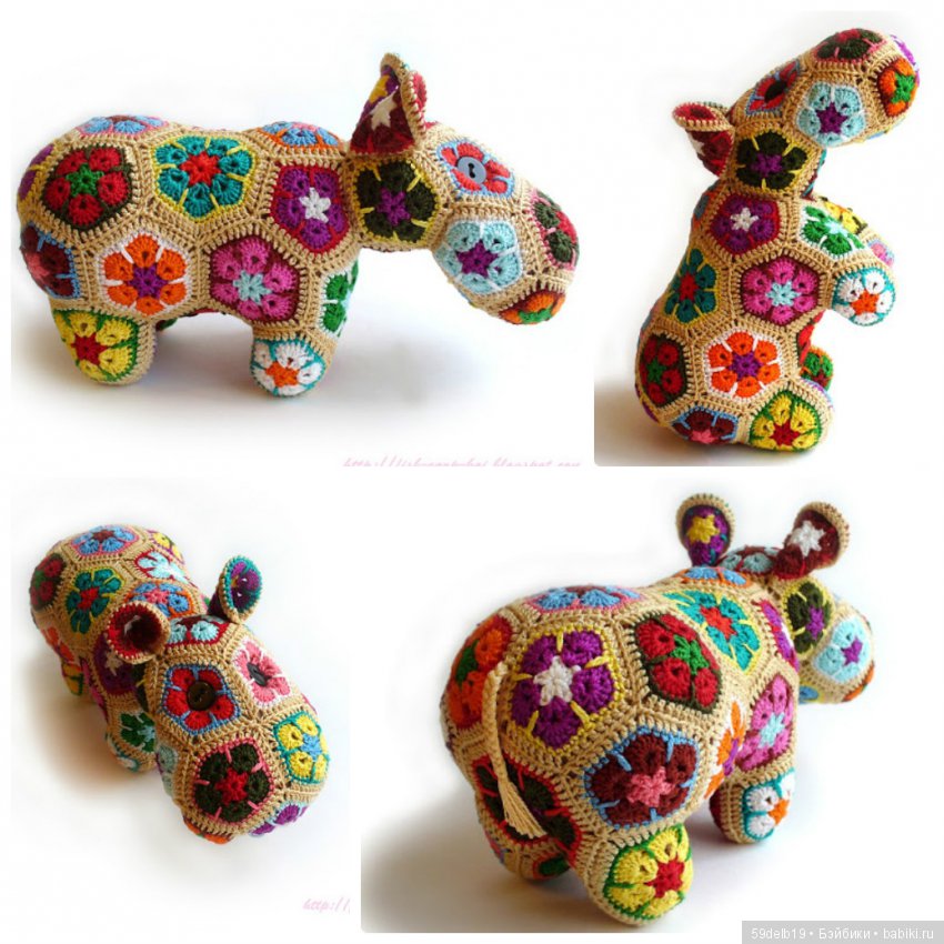 африканский цветок