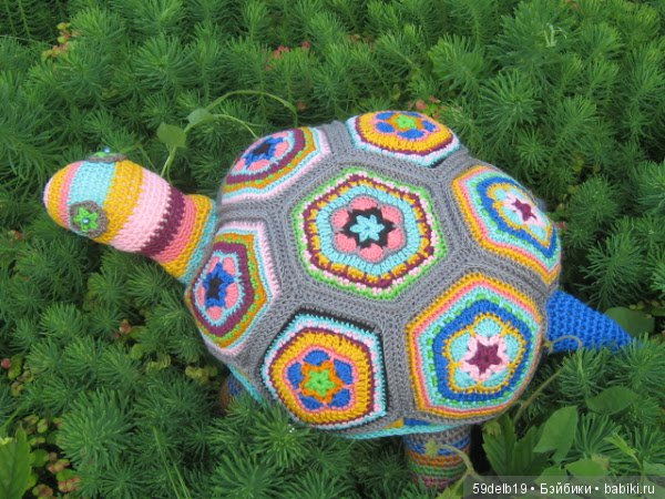 африканский цветок